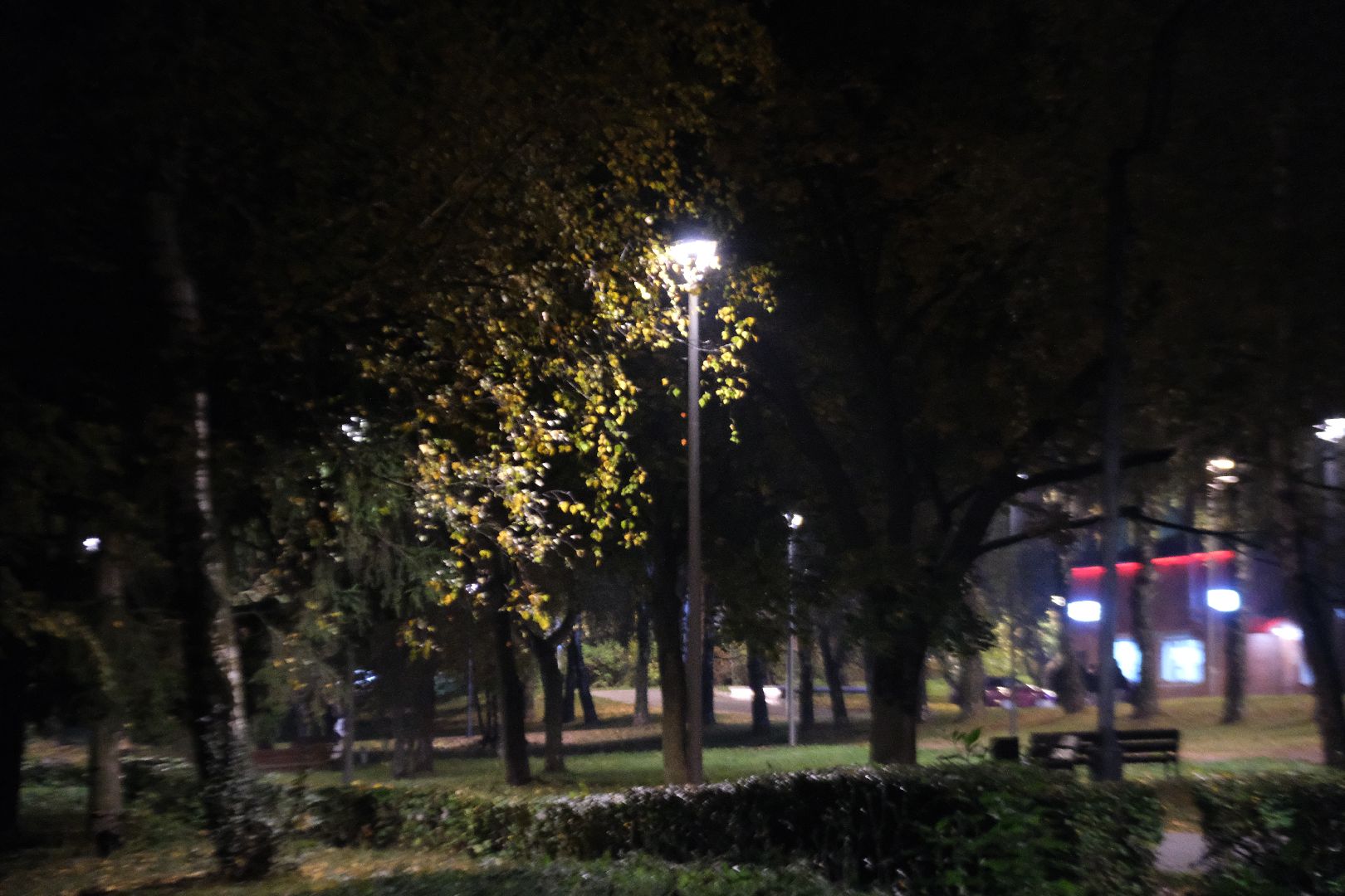 пущино, серпухов, светлый город,