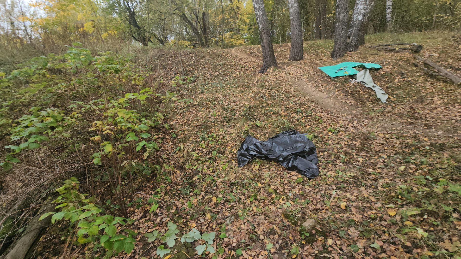 долгопрудный, Грибки, село Виноградово, Река, экосубботник, отходы,