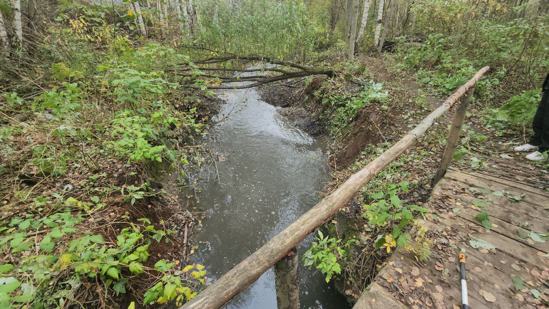 долгопрудный, Грибки, село Виноградово, Река, экосубботник, отходы,