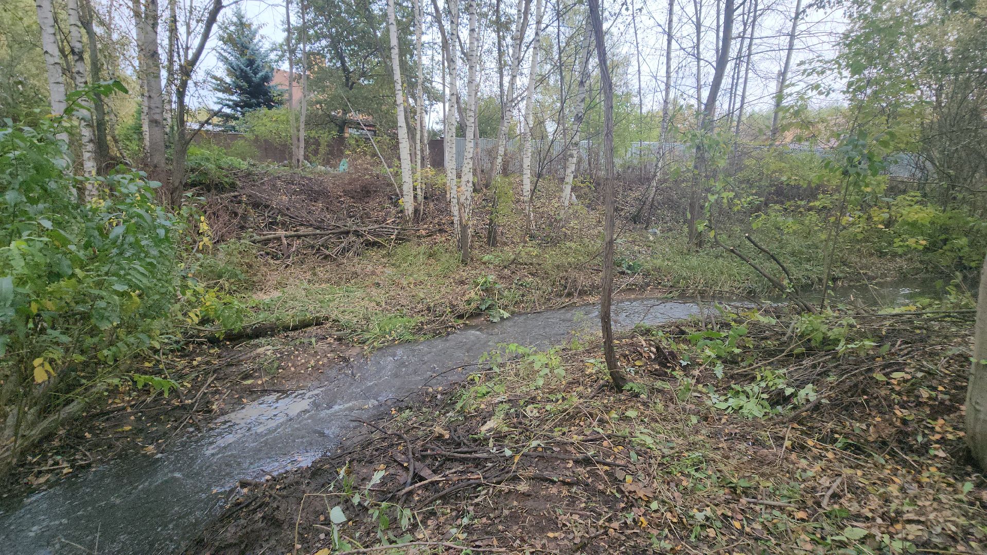 долгопрудный, Грибки, село Виноградово, Река, экосубботник, отходы,