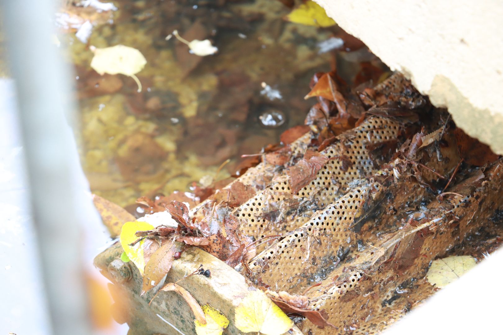 коммунальная служба, фонтан, чистота,