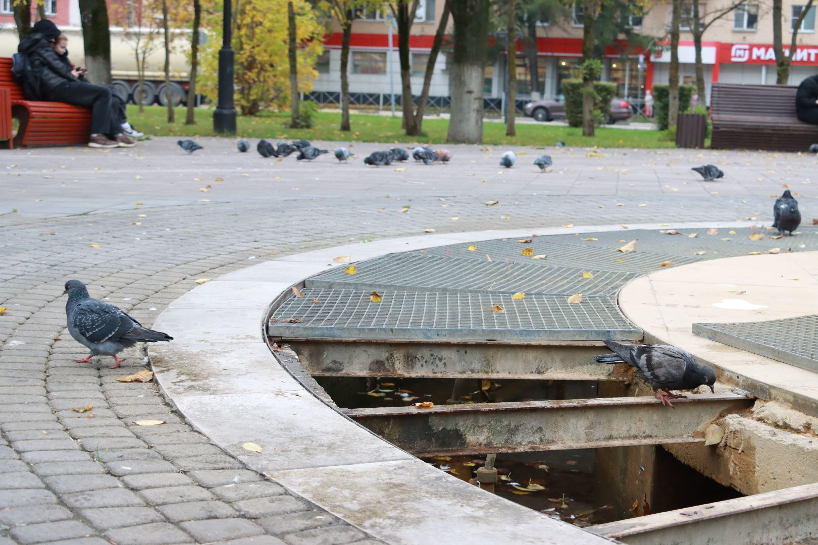 коммунальная служба, фонтан, чистота,