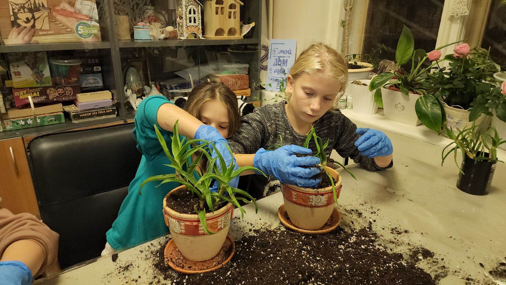 пушкино, многодетные мамы, занятия с детьми, растения, социальная поддержка, детский досуг,