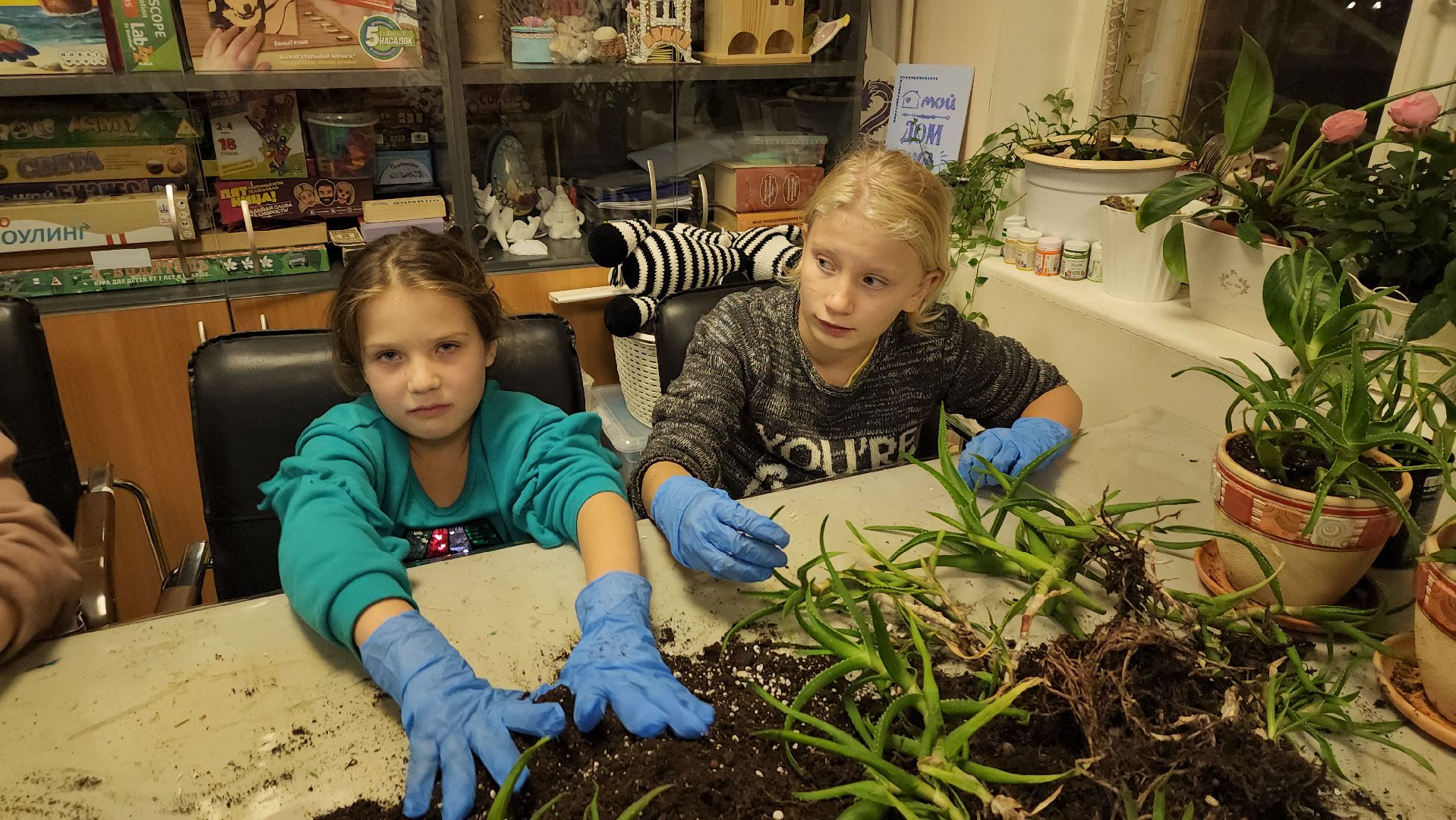 пушкино, многодетные мамы, занятия с детьми, растения, социальная поддержка, детский досуг,