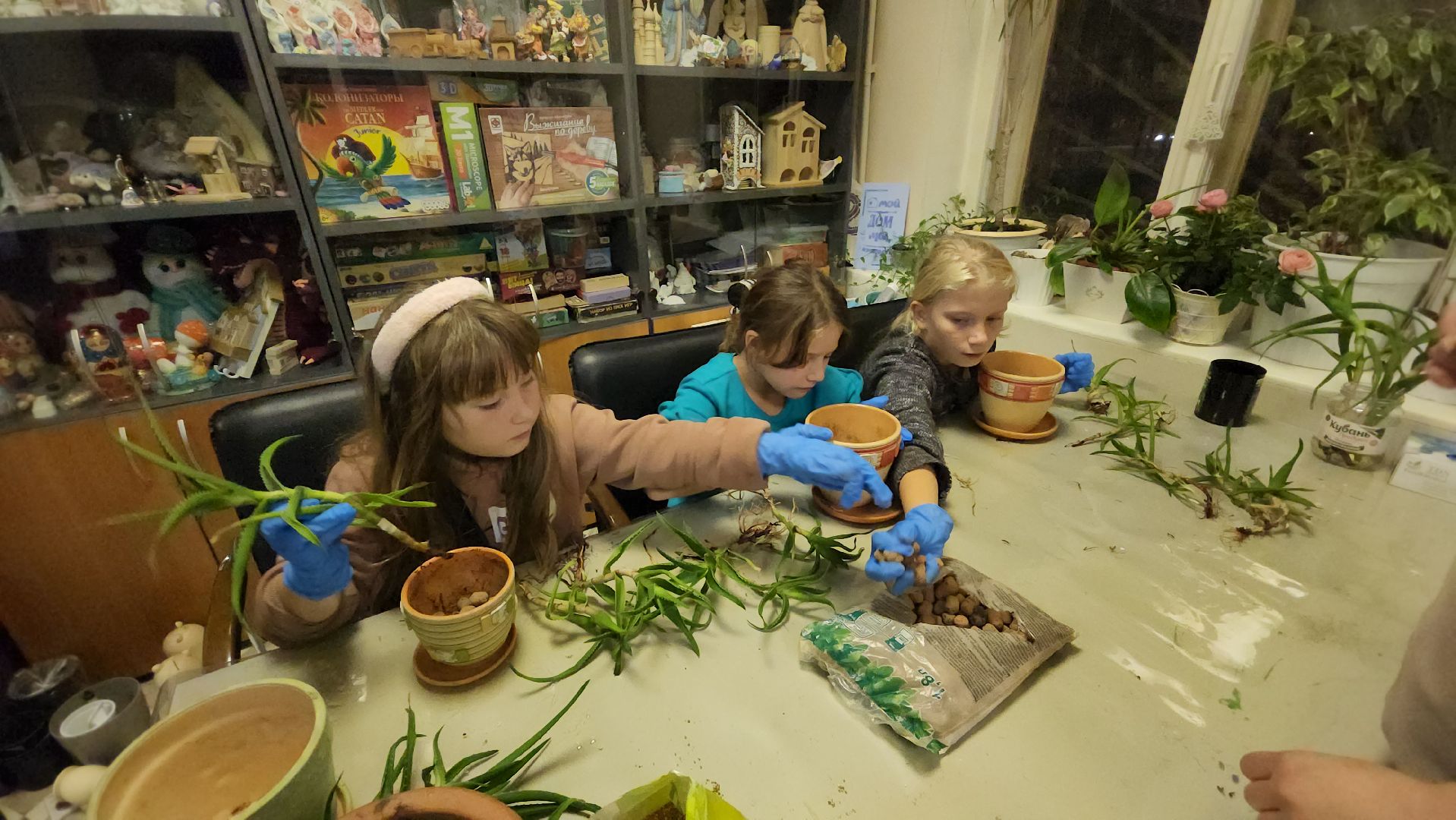 пушкино, многодетные мамы, занятия с детьми, растения, социальная поддержка, детский досуг,