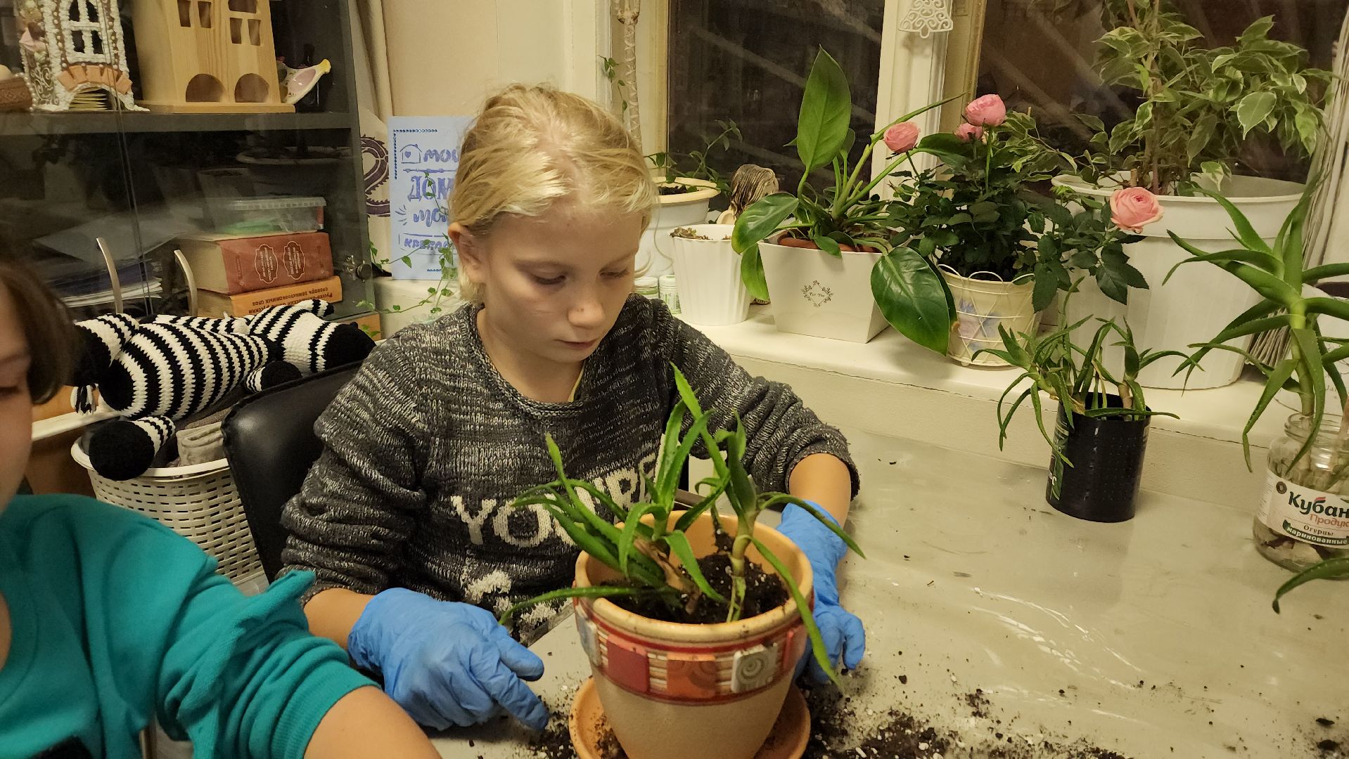 пушкино, многодетные мамы, занятия с детьми, растения, социальная поддержка, детский досуг,