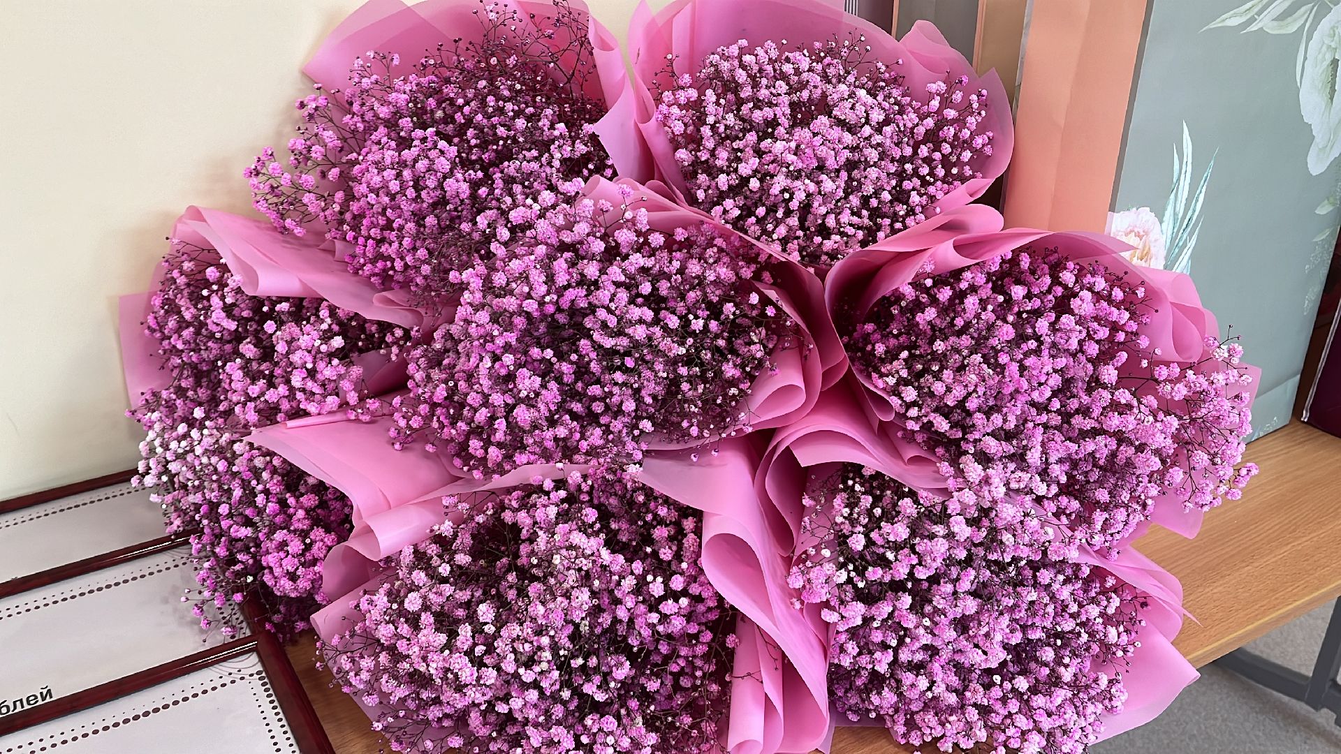 Волоколамск, Педагогический дебют, молодые педагоги,