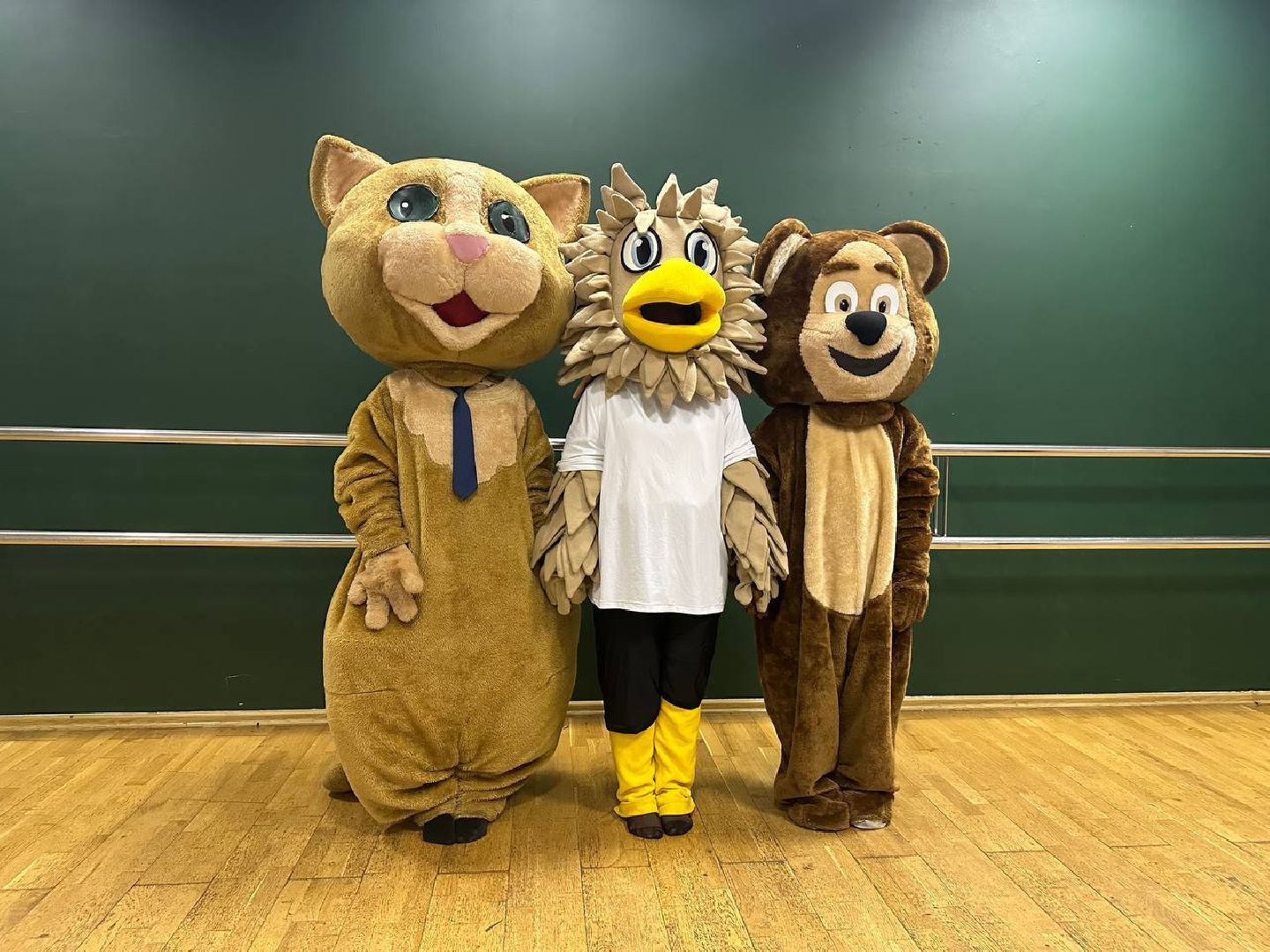 мастер-класс, волонтеры, ростовые куклы,