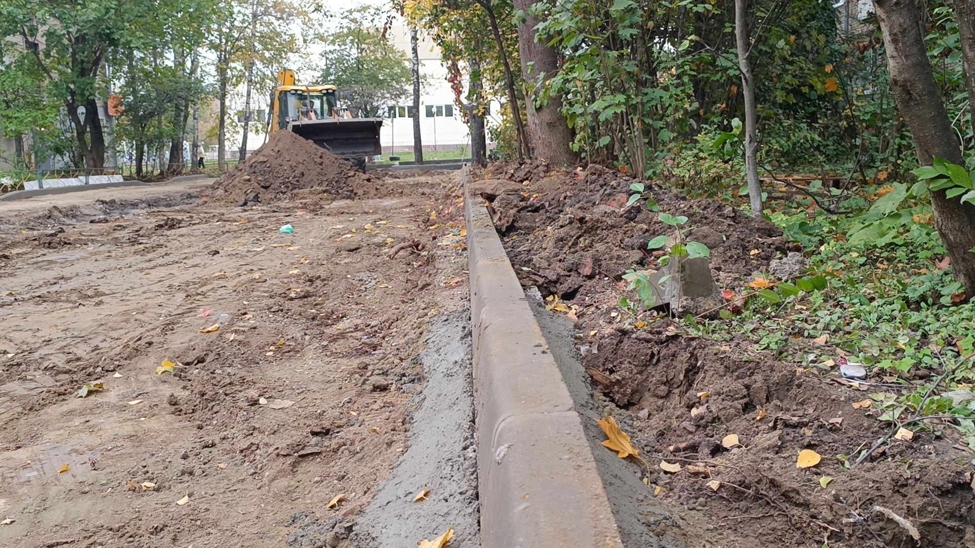 ремонт двора, лобня, асфальт,