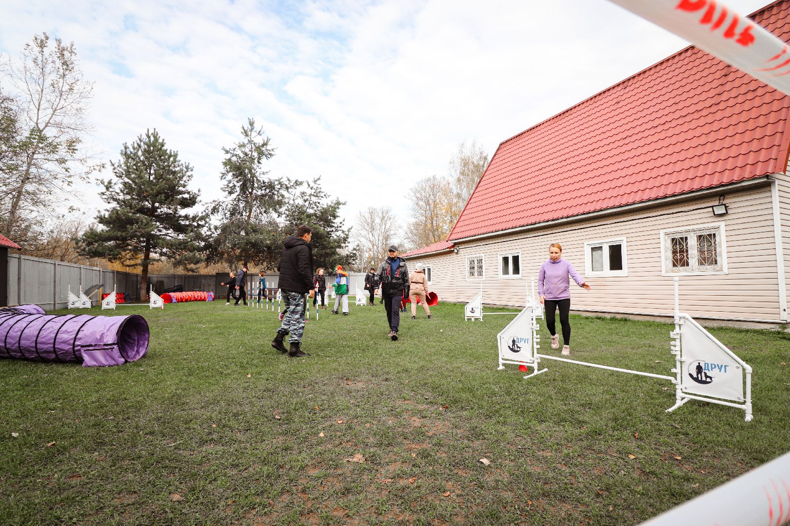 Клин, общество, спорт, собаки, аджилити,