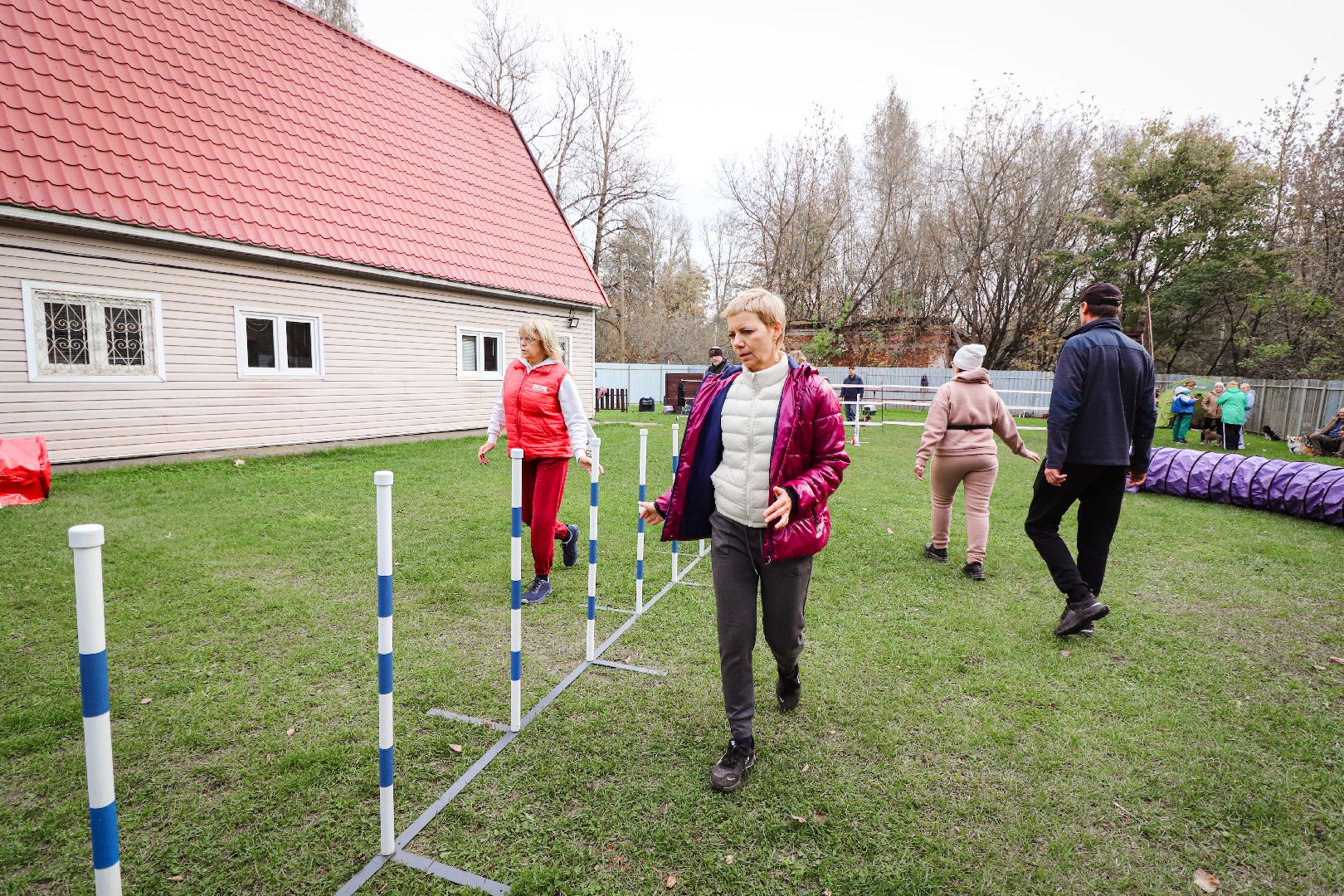 Клин, общество, спорт, собаки, аджилити,