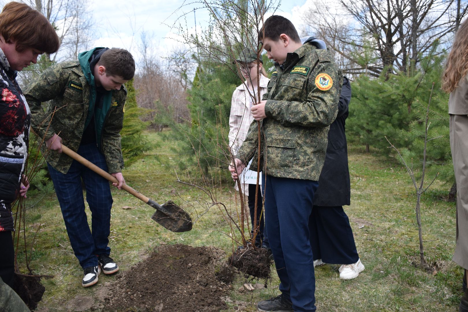 Павловский Посад, городской округ Павловский Посад, кустарники, школа, благоустройство