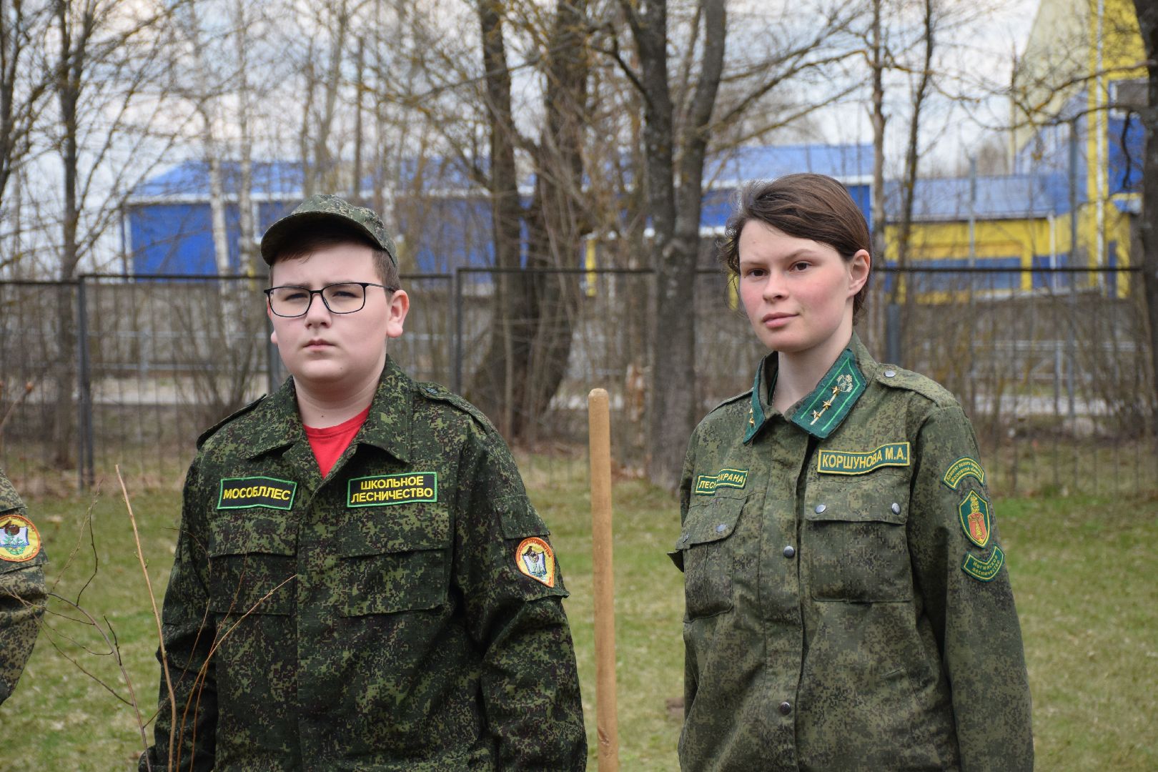 Павловский Посад, городской округ Павловский Посад, кустарники, школа, благоустройство