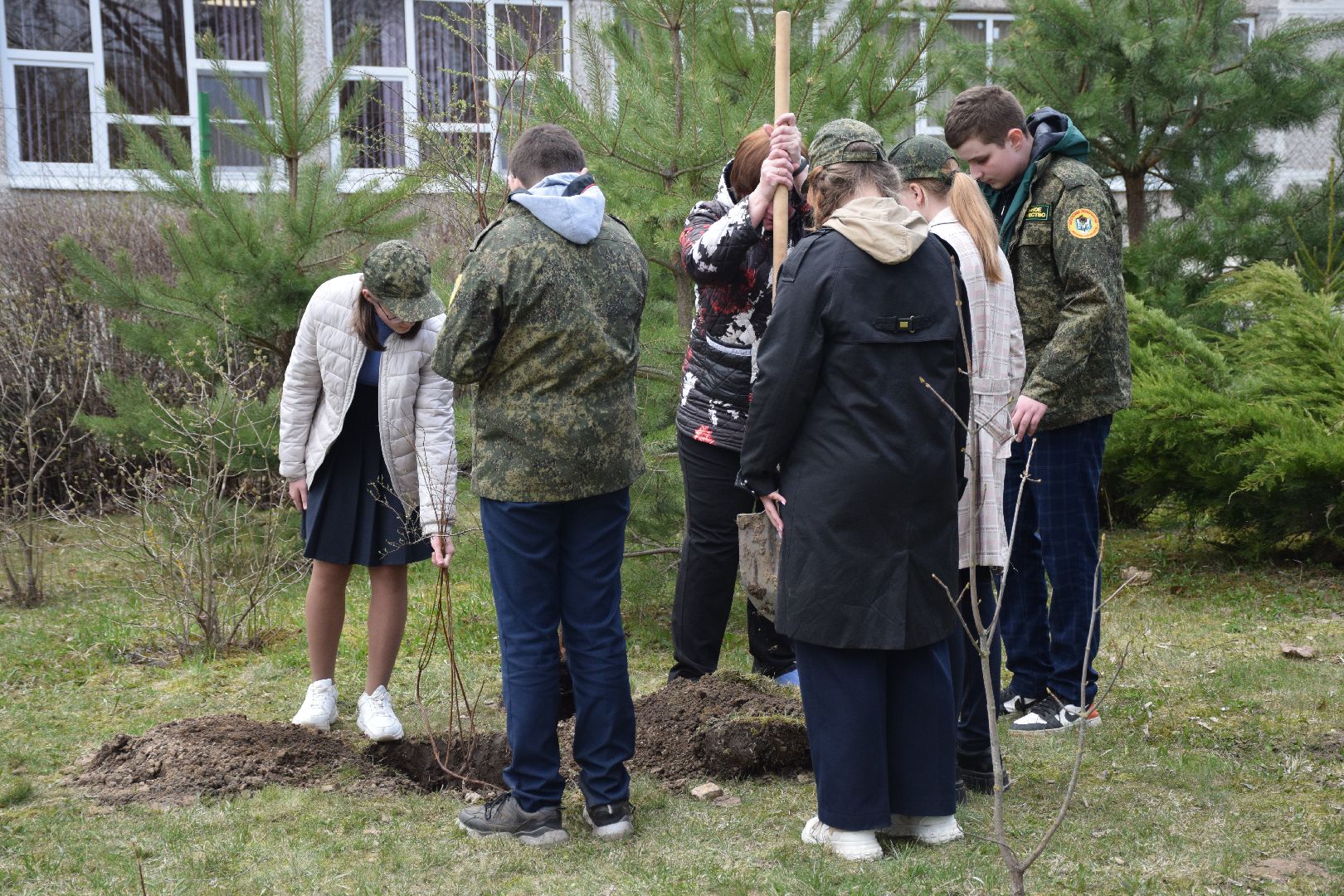 Павловский Посад, городской округ Павловский Посад, кустарники, школа, благоустройство