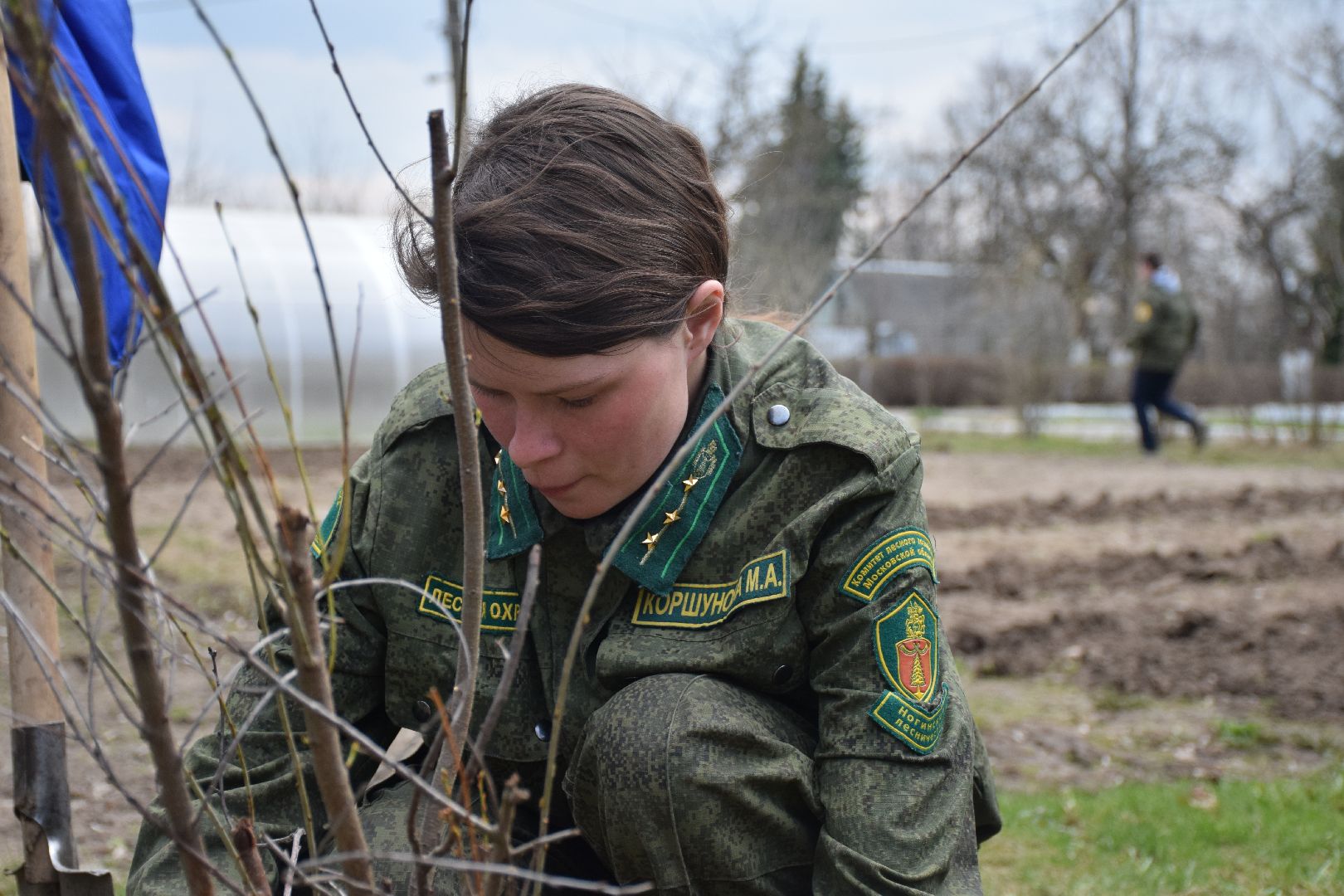 Павловский Посад, городской округ Павловский Посад, кустарники, школа, благоустройство