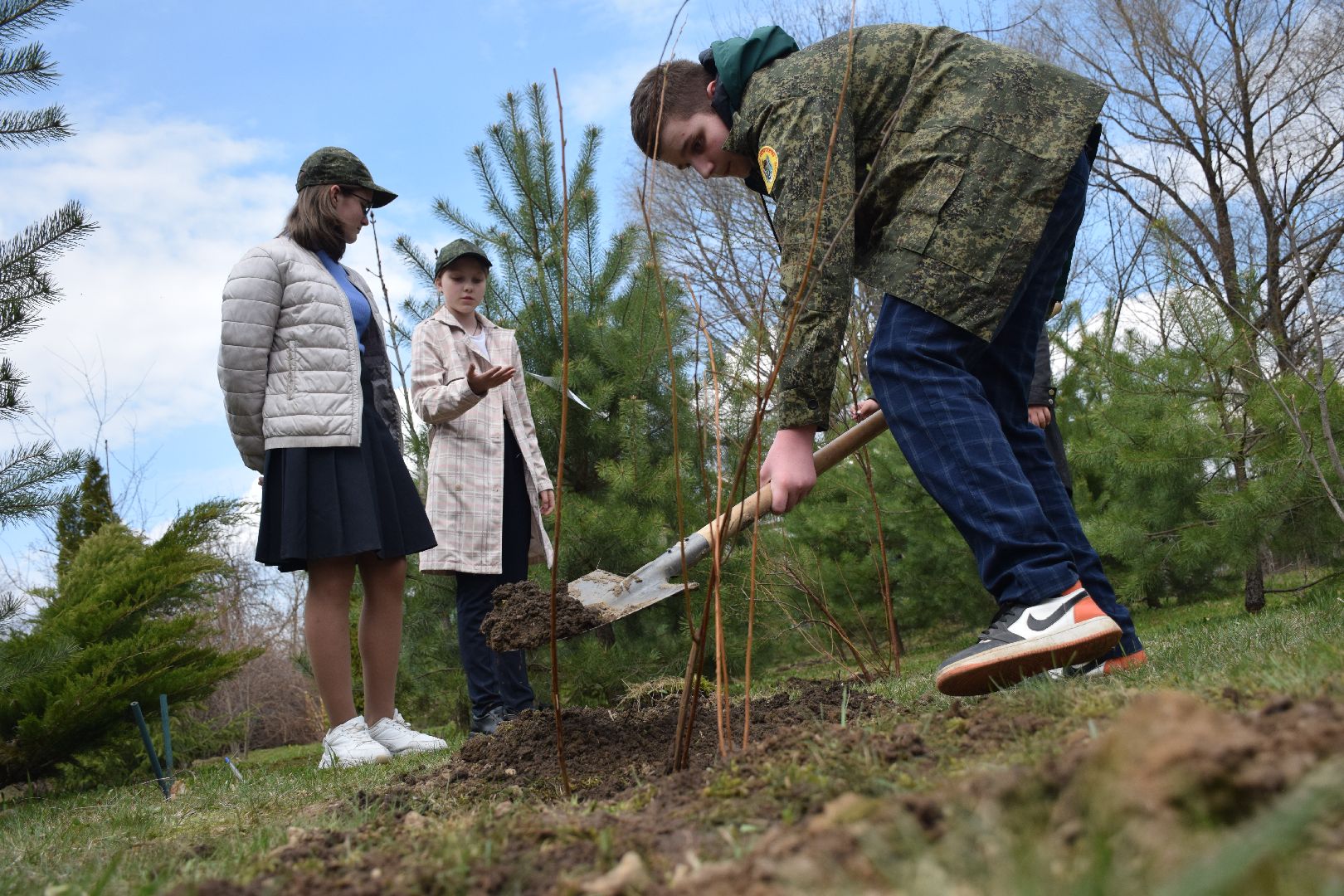 Павловский Посад, городской округ Павловский Посад, кустарники, школа, благоустройство