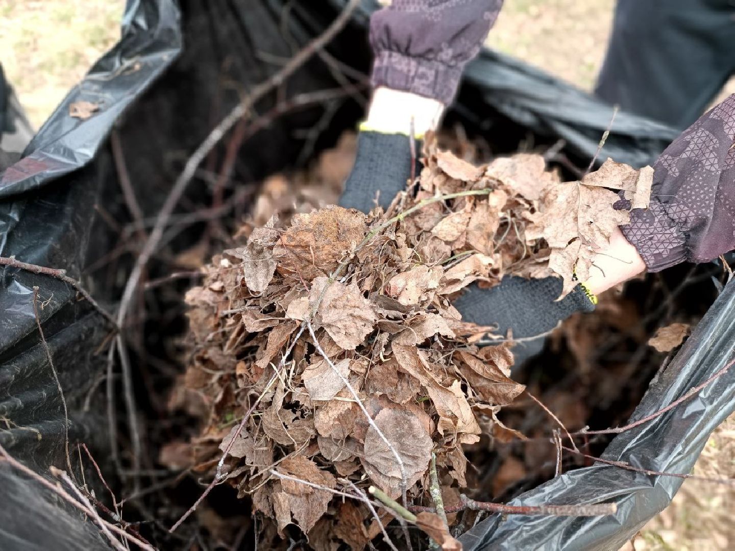 Можайск, Можайский городской округ, Подмосковье, субботник, волонтеры, студенты, Никольский собор
