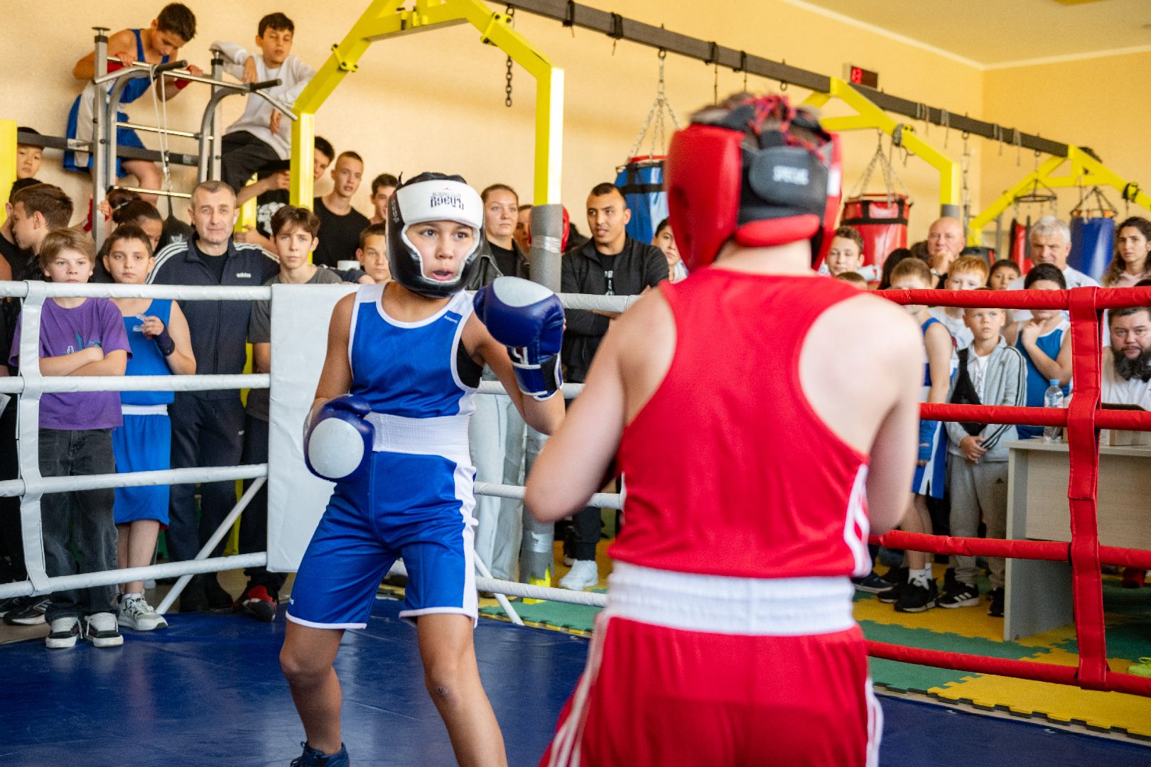 спорт лыткарино, арена лыткарино, первенство по боксу, бокс лыткарино, дворец спорта,