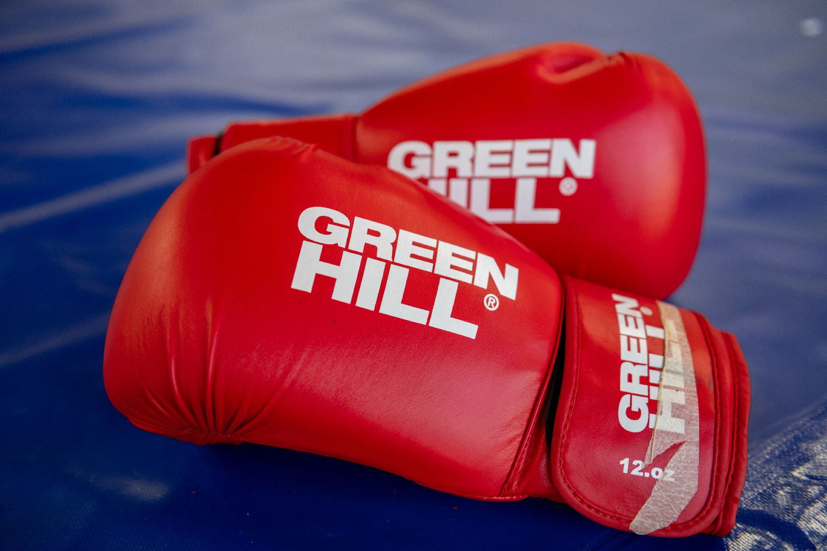 спорт лыткарино, арена лыткарино, первенство по боксу, бокс лыткарино, дворец спорта,