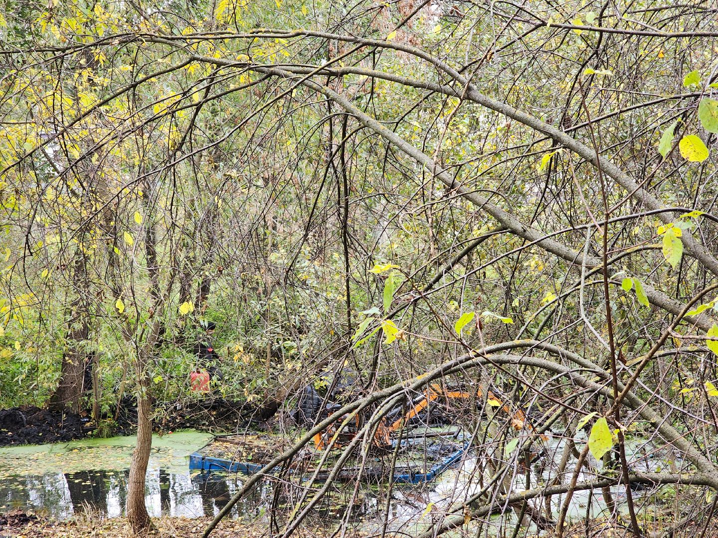 раменское, экология, очистка реки Македонка в Удельной,
