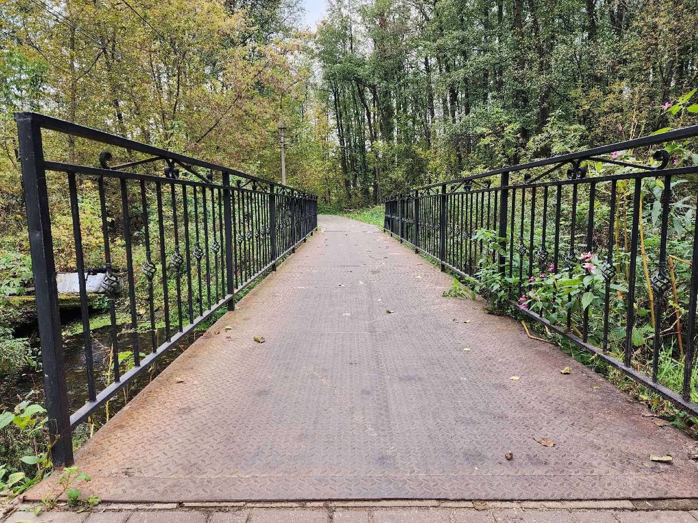 раменское, экология, очистка реки Македонка в Удельной,