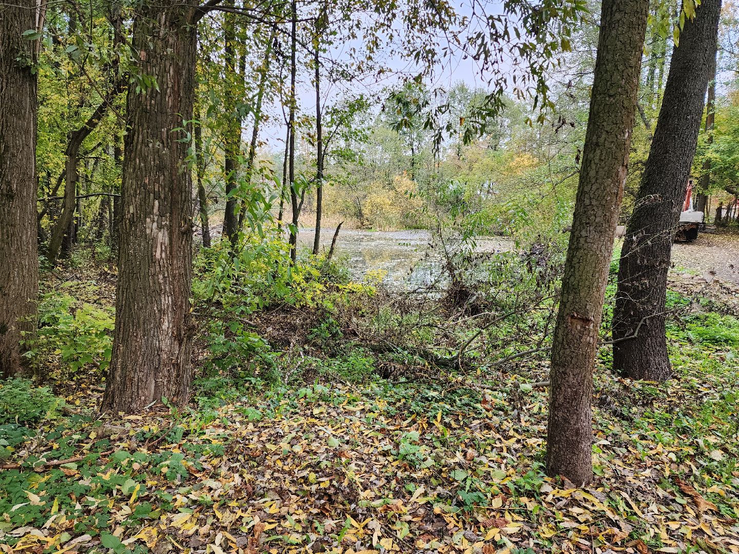 раменское, экология, очистка реки Македонка в Удельной,