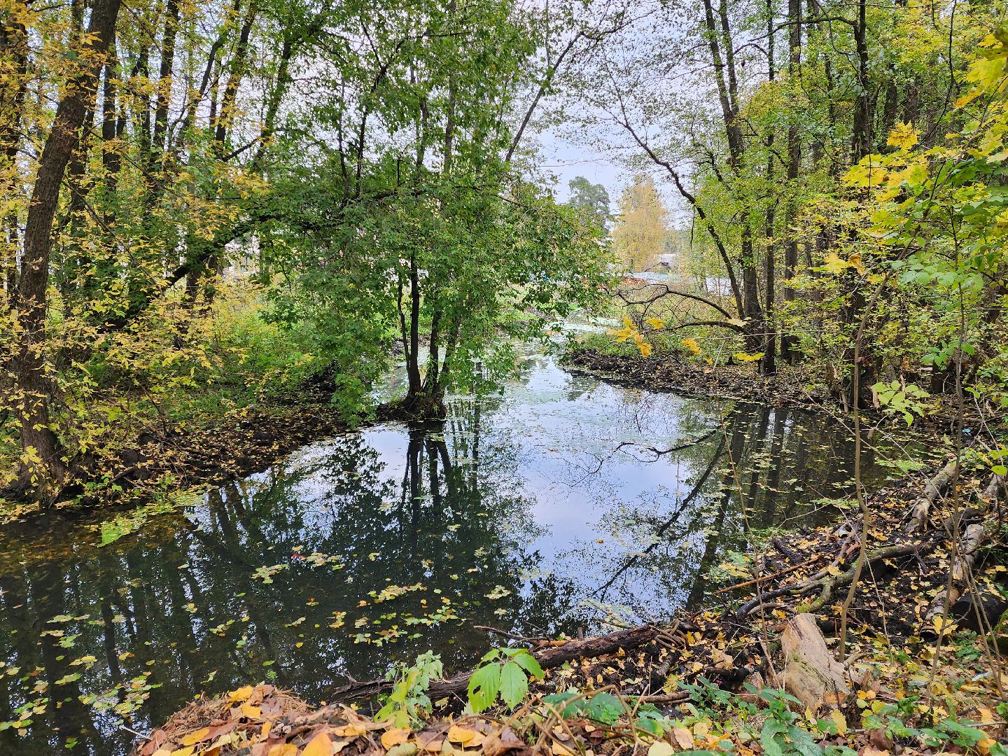 раменское, экология, очистка реки Македонка в Удельной,