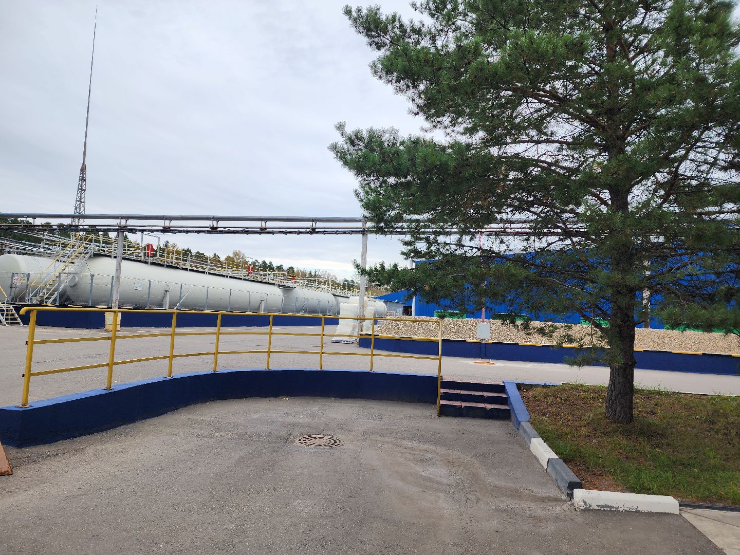 красноармейск, городской округ пушкинский, сухой шампунь, экономика подмосковья,