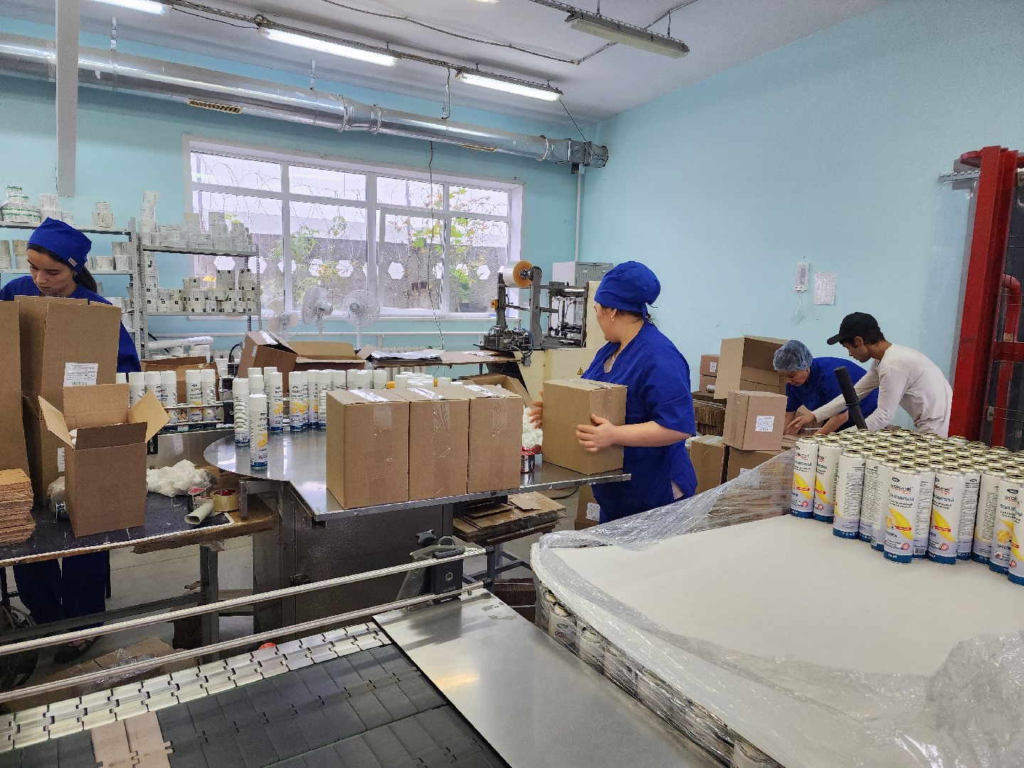 красноармейск, городской округ пушкинский, сухой шампунь, экономика подмосковья,