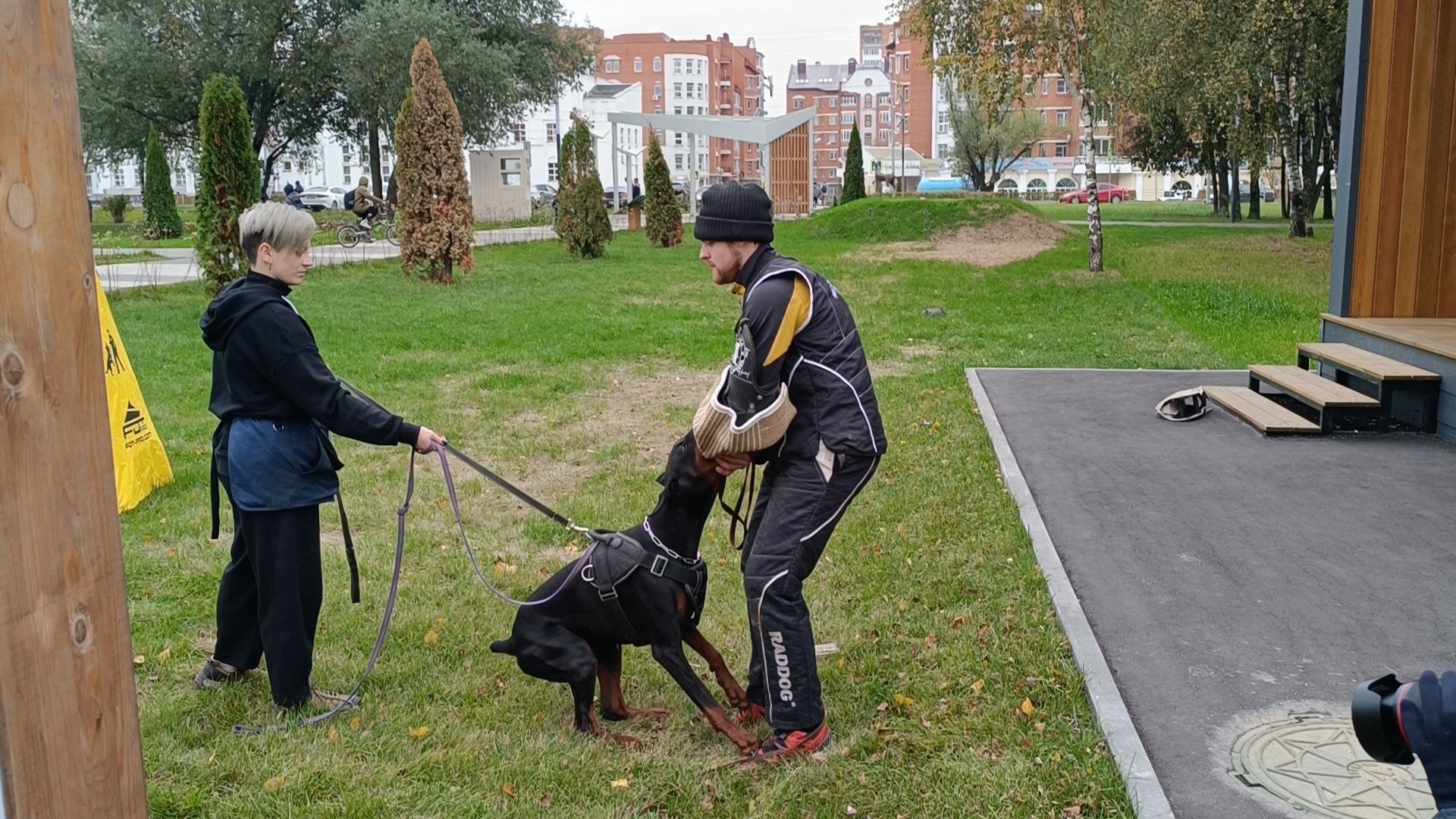 собака, лобня, приют для собак,