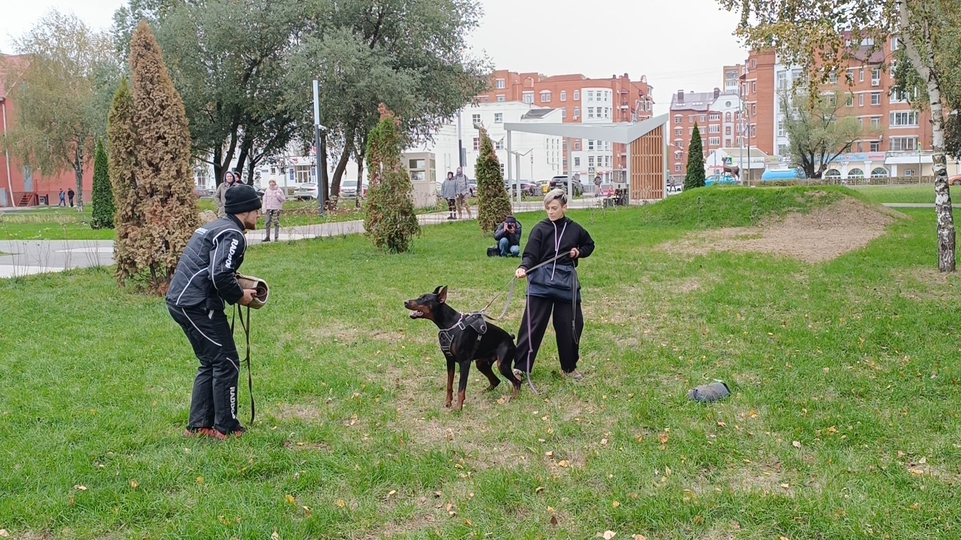 собака, лобня, приют для собак,