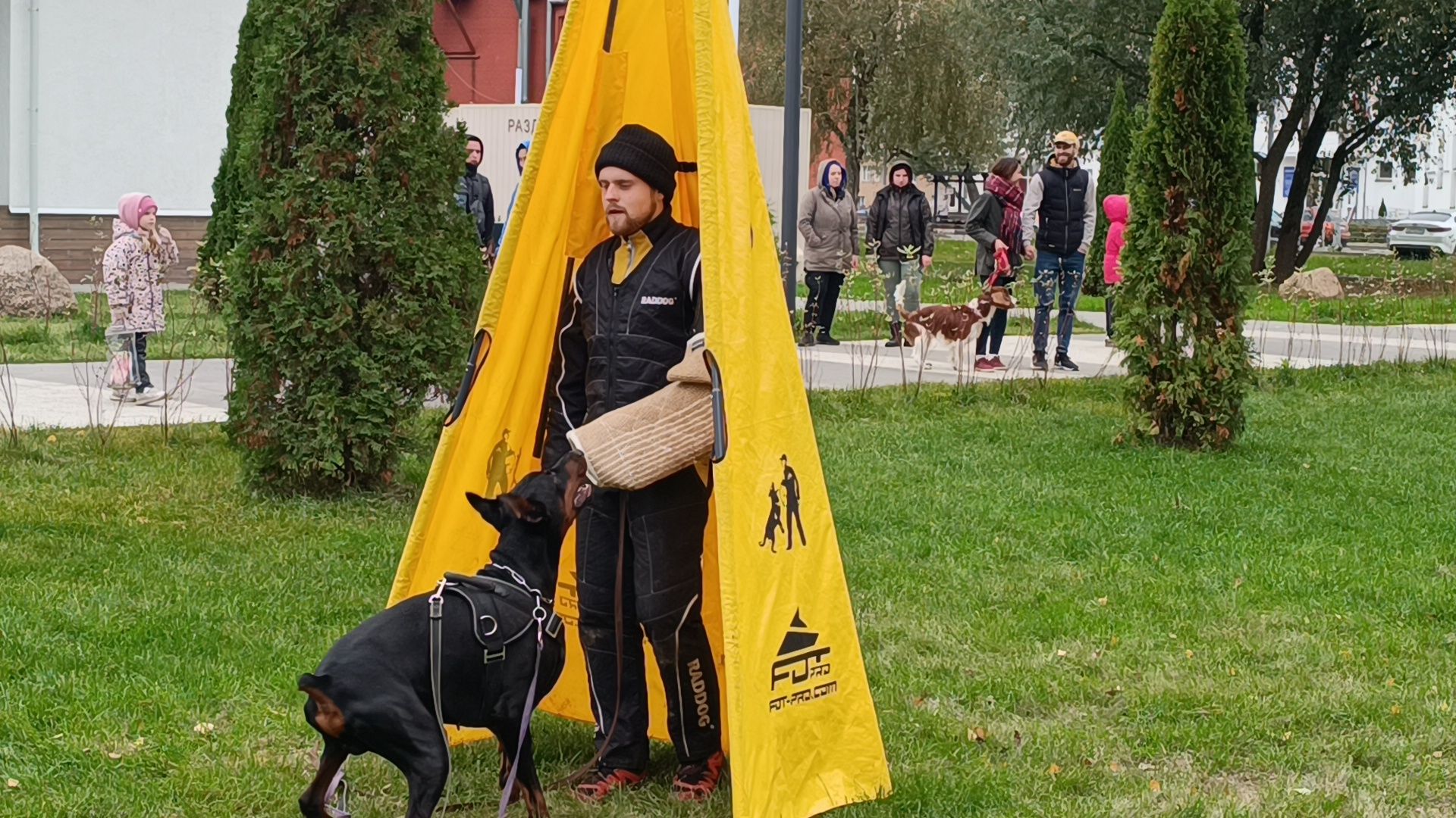 собака, лобня, приют для собак,