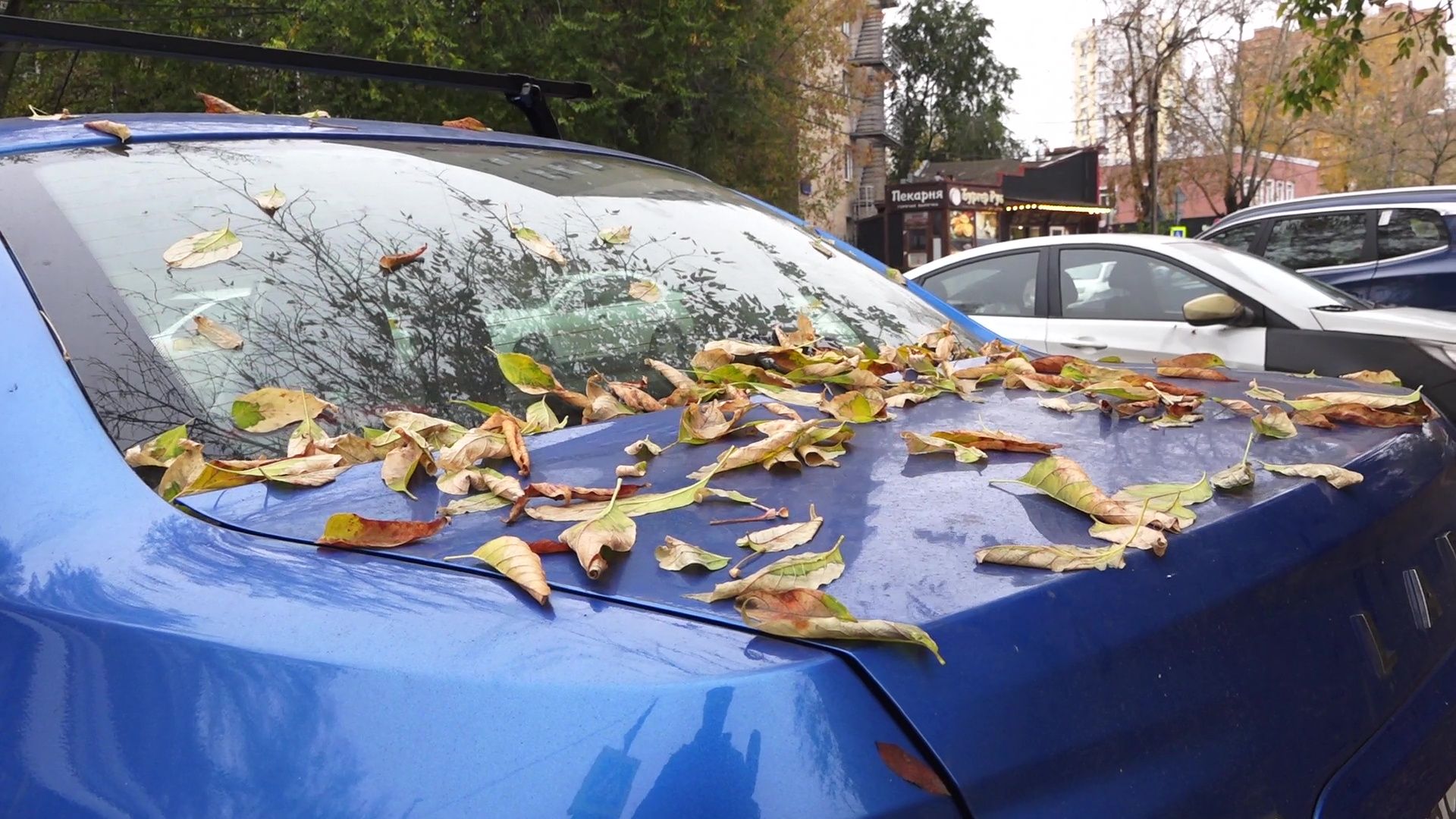 Реутов, парковки, машины, плата за паркинг, стоянка запрещена, остановка по требованию,