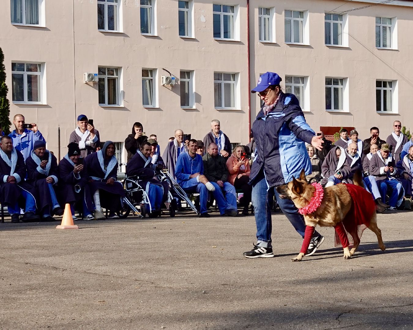 Военный госпиталь, Сергиев Посад, Кинологический центр, Собаки, Медицина, Психология, Сергиево-Посадский городской округ,