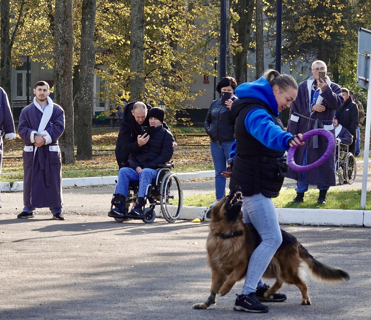 Военный госпиталь, Сергиев Посад, Кинологический центр, Собаки, Медицина, Психология, Сергиево-Посадский городской округ,