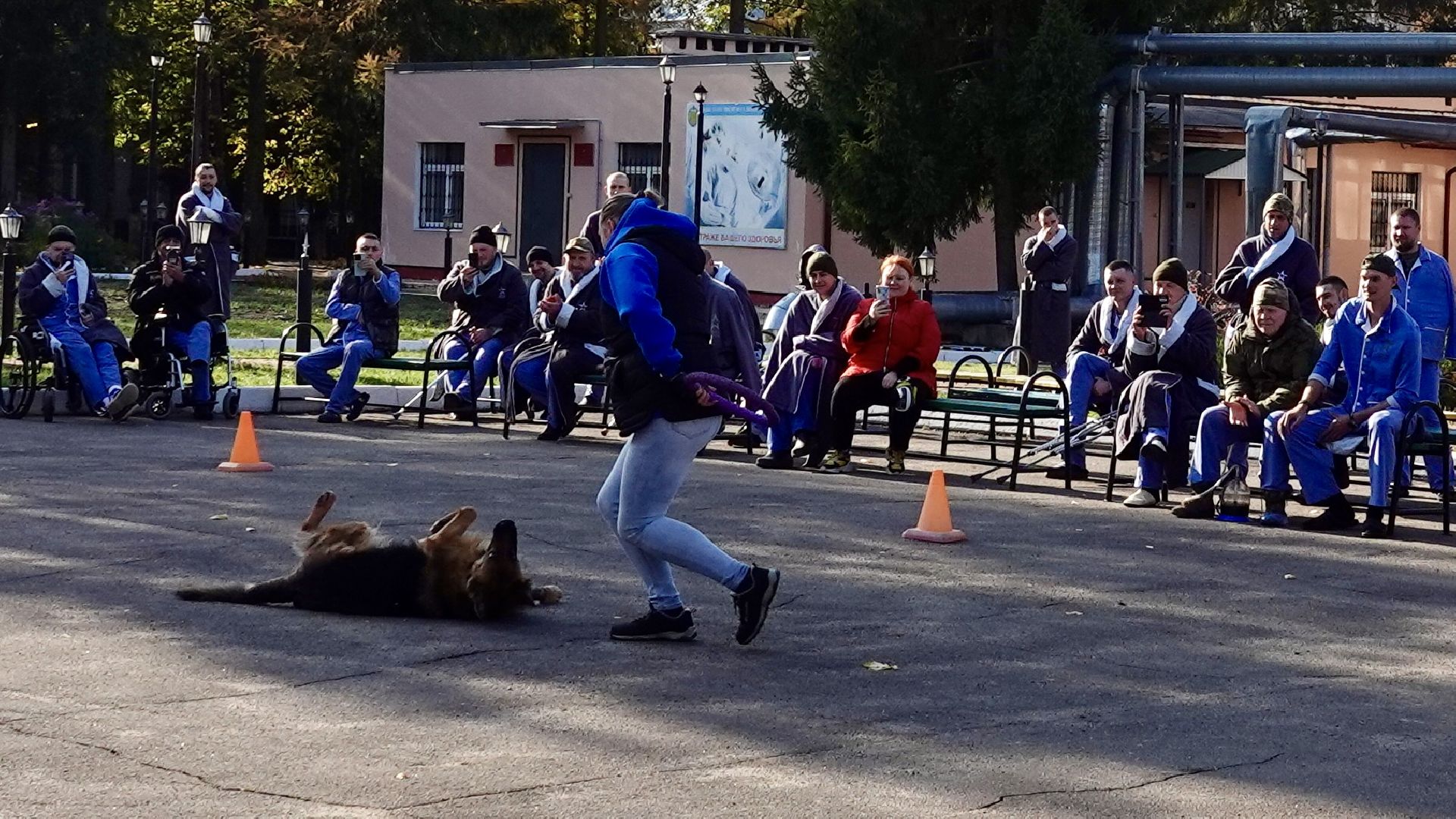 Военный госпиталь, Сергиев Посад, Кинологический центр, Собаки, Медицина, Психология, Сергиево-Посадский городской округ,