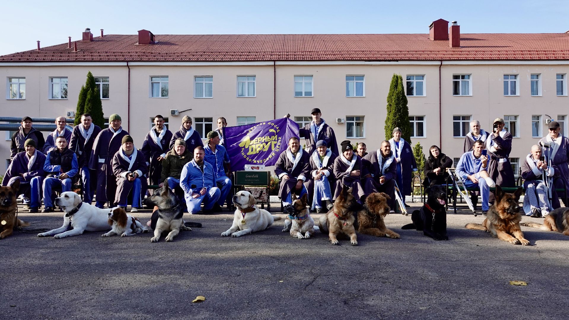 Военный госпиталь, Сергиев Посад, Кинологический центр, Собаки, Медицина, Психология, Сергиево-Посадский городской округ,