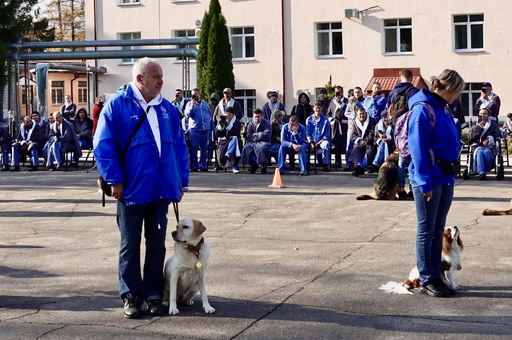 Военный госпиталь, Сергиев Посад, Кинологический центр, Собаки, Медицина, Психология, Сергиево-Посадский городской округ,
