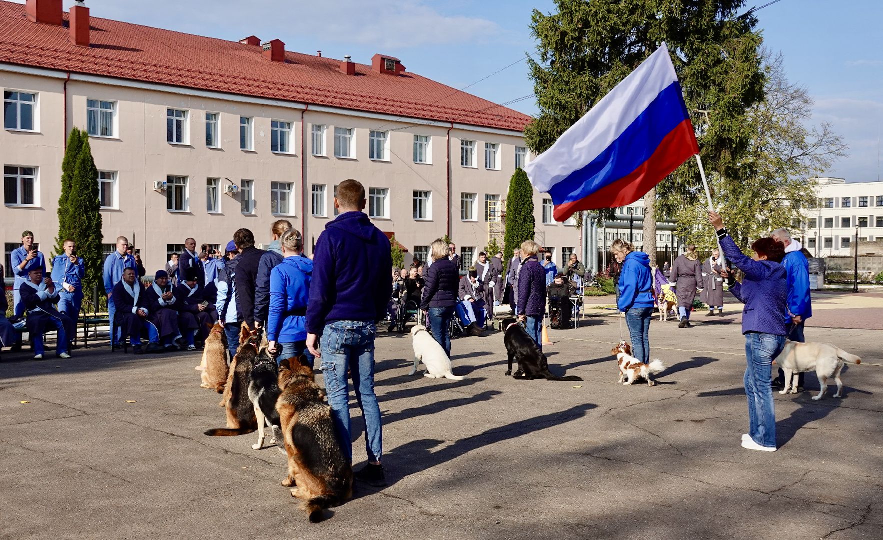 Военный госпиталь, Сергиев Посад, Кинологический центр, Собаки, Медицина, Психология, Сергиево-Посадский городской округ,