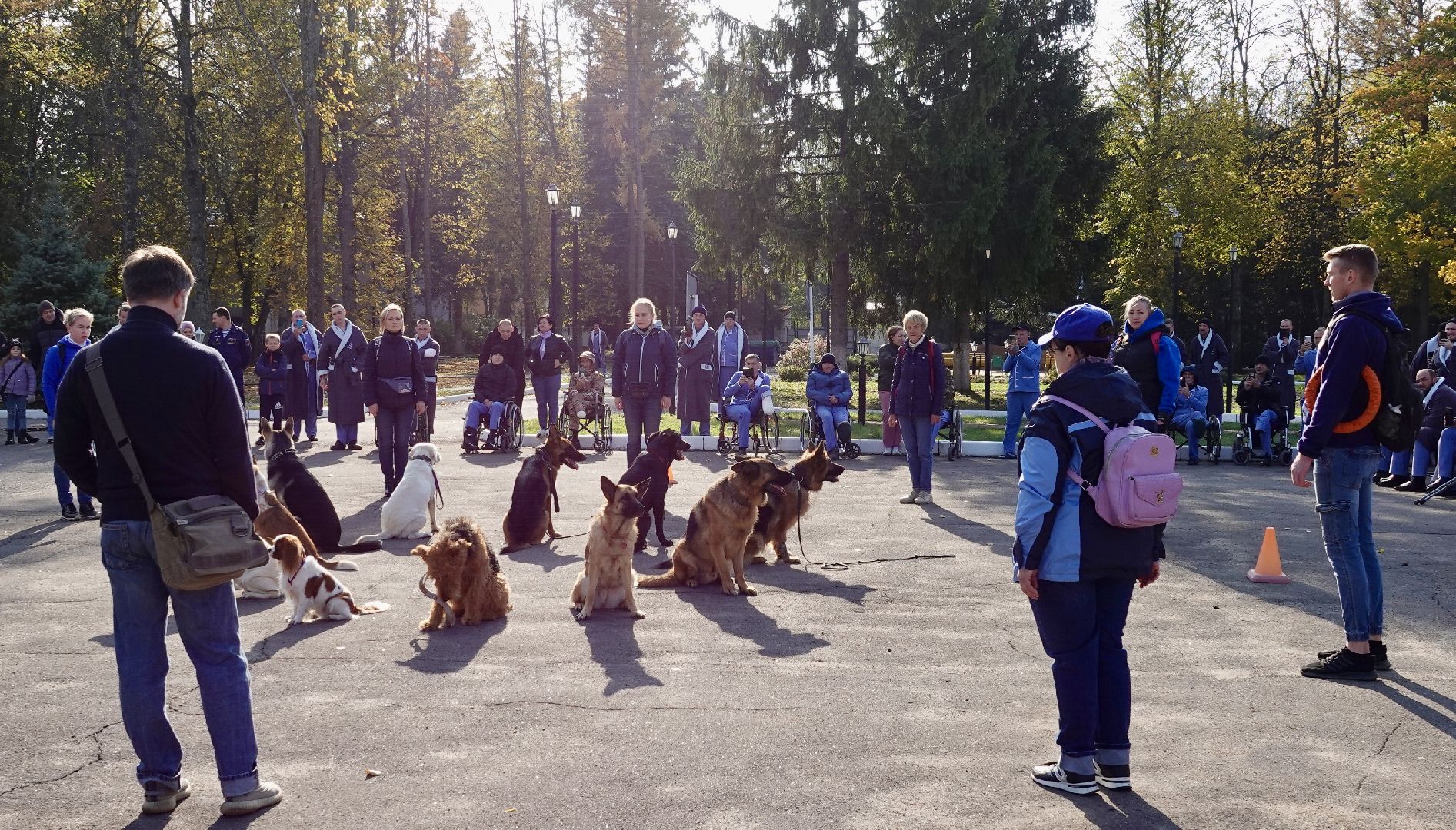 Военный госпиталь, Сергиев Посад, Кинологический центр, Собаки, Медицина, Психология, Сергиево-Посадский городской округ,
