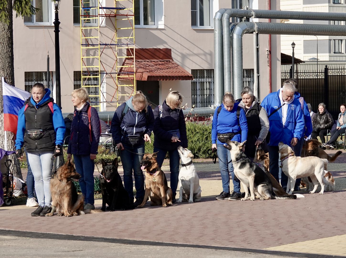 Военный госпиталь, Сергиев Посад, Кинологический центр, Собаки, Медицина, Психология, Сергиево-Посадский городской округ,