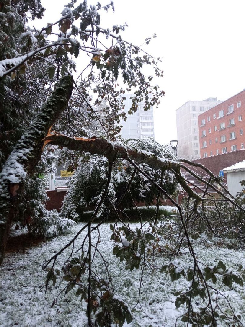 пущино, благоустойство, серпухов, циклон, снег,