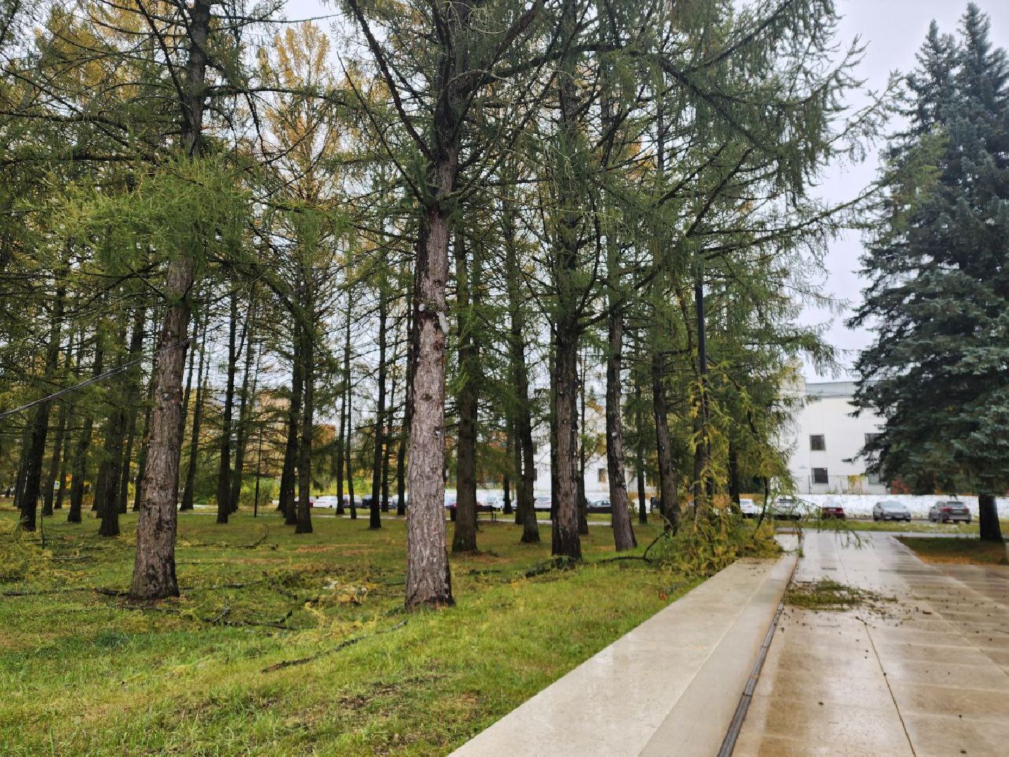 пущино, благоустойство, серпухов, циклон, снег,