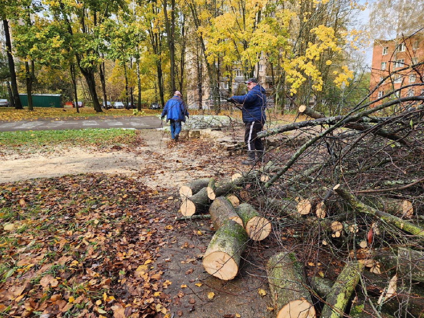 пущино, благоустойство, серпухов, циклон, снег,