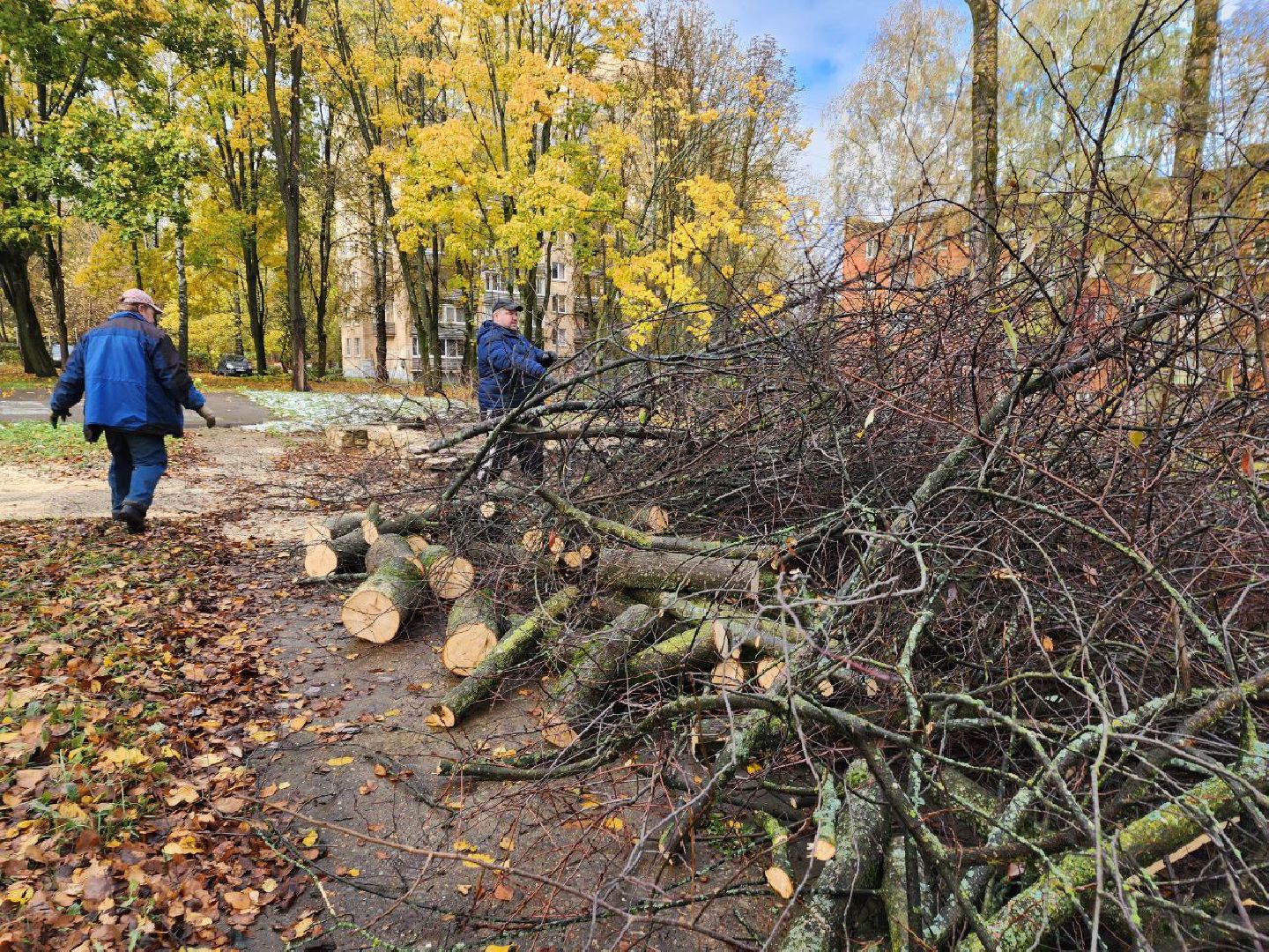 пущино, благоустойство, серпухов, циклон, снег,