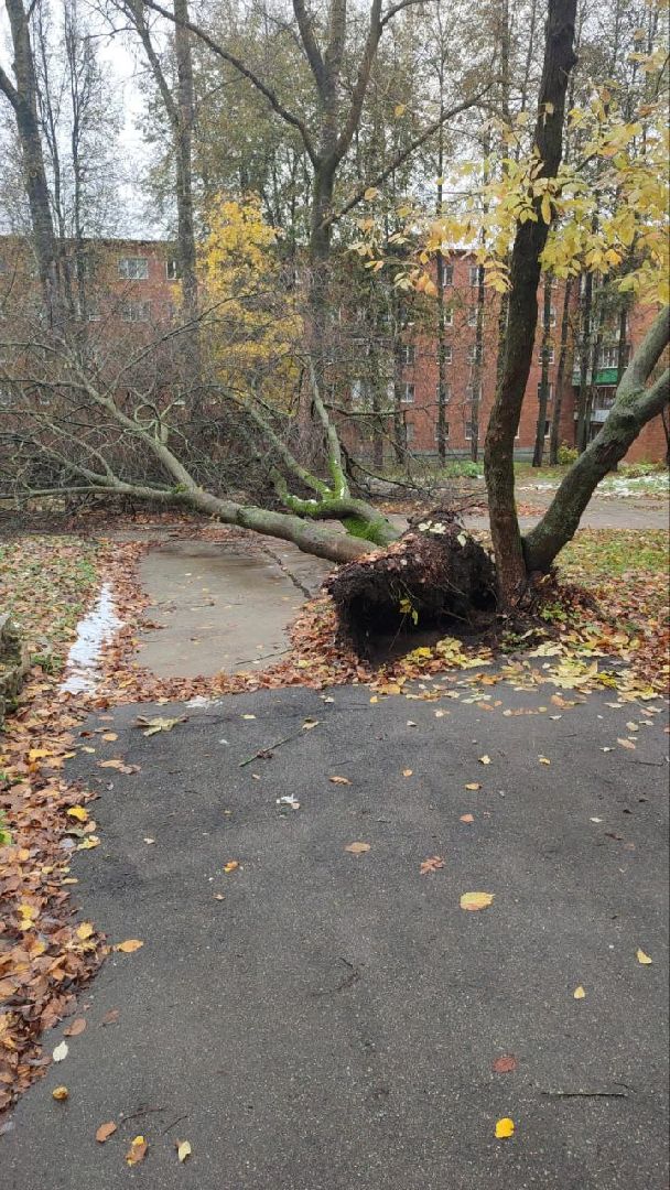 пущино, благоустойство, серпухов, циклон, снег,