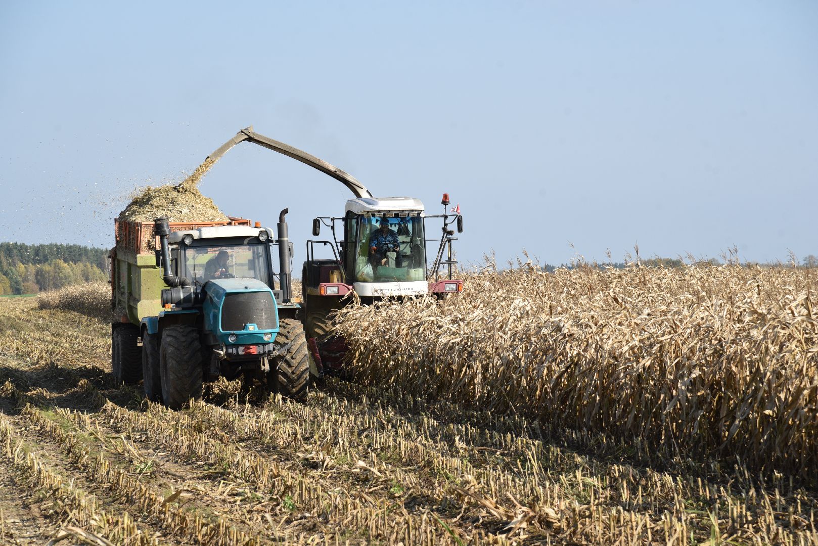 лотошино, сельское хозяйство, заготовка кормов,