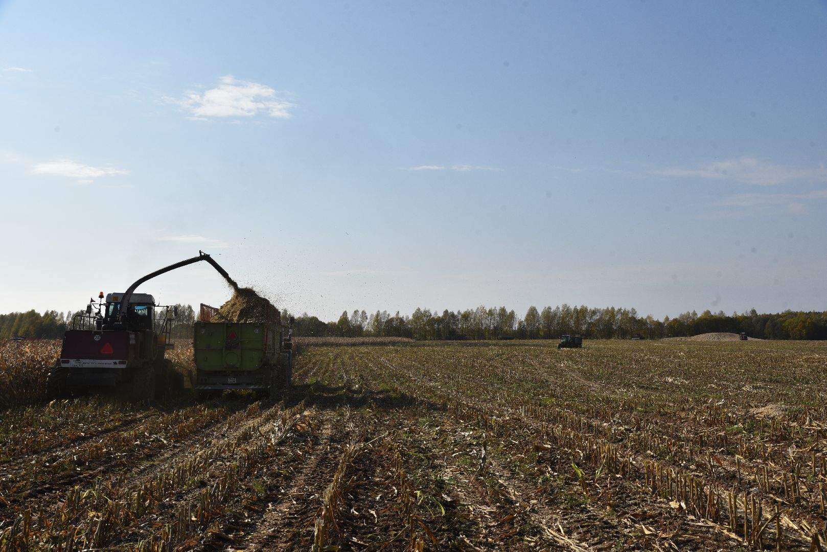 лотошино, сельское хозяйство, заготовка кормов,