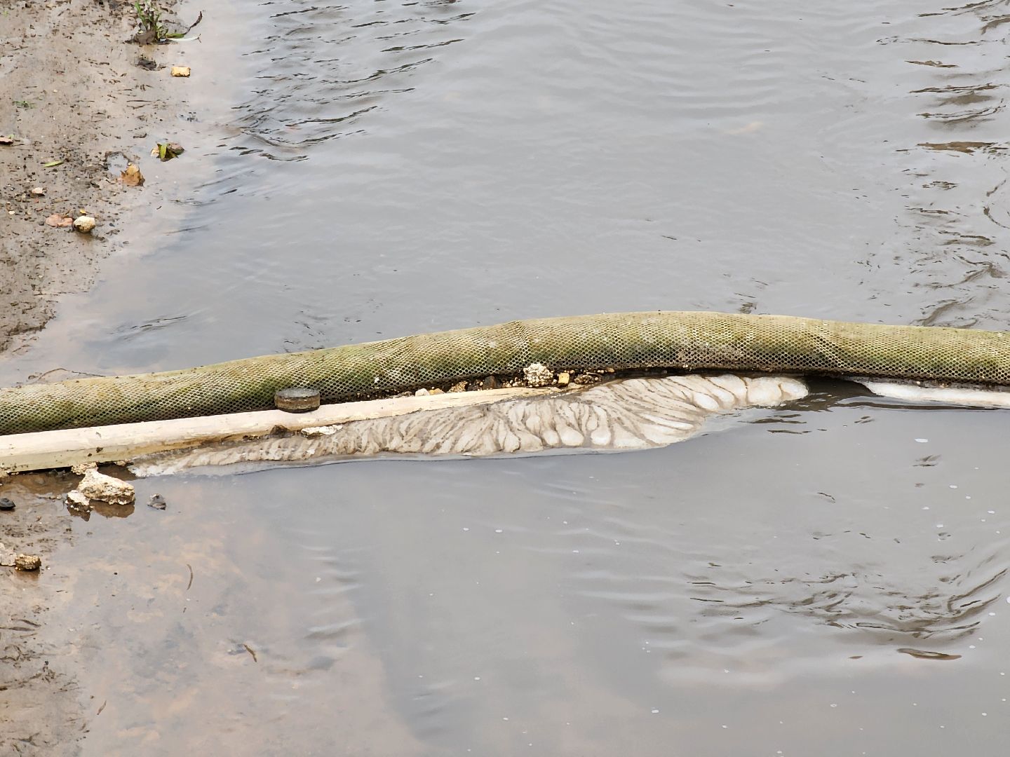 одинцово, глазынинский пруд, губкинский пруд, экология, загрязнение,