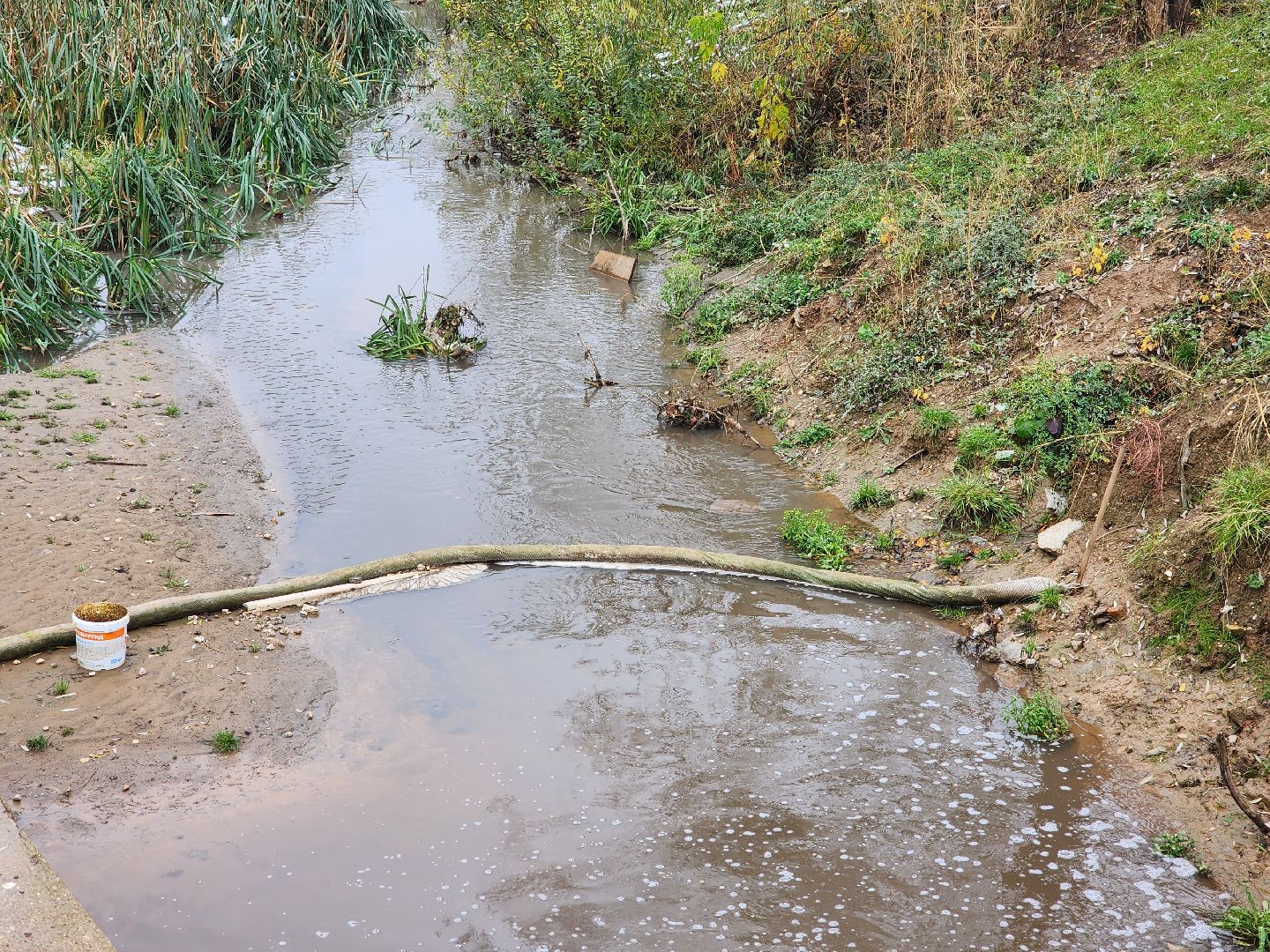 одинцово, глазынинский пруд, губкинский пруд, экология, загрязнение,